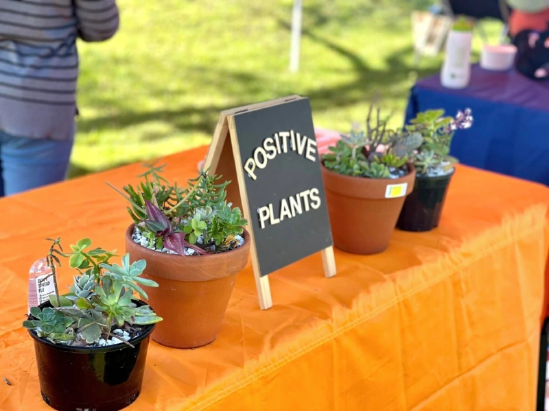 upmarket-positivevibes