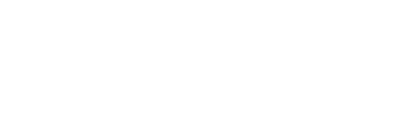 visy dior logo
